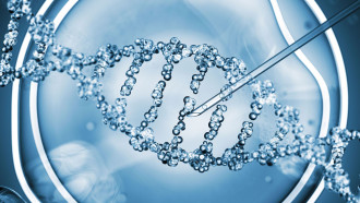 چه افرادی باید آزمایش ژنتیک غربالگری ناقلین را انجام دهند؟